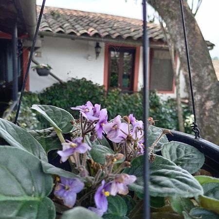 Hotel Boutique Casabella Coatepec  Bagian luar foto