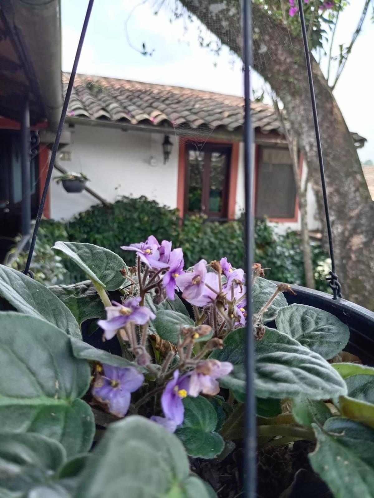 Hotel Boutique Casabella Coatepec  Bagian luar foto