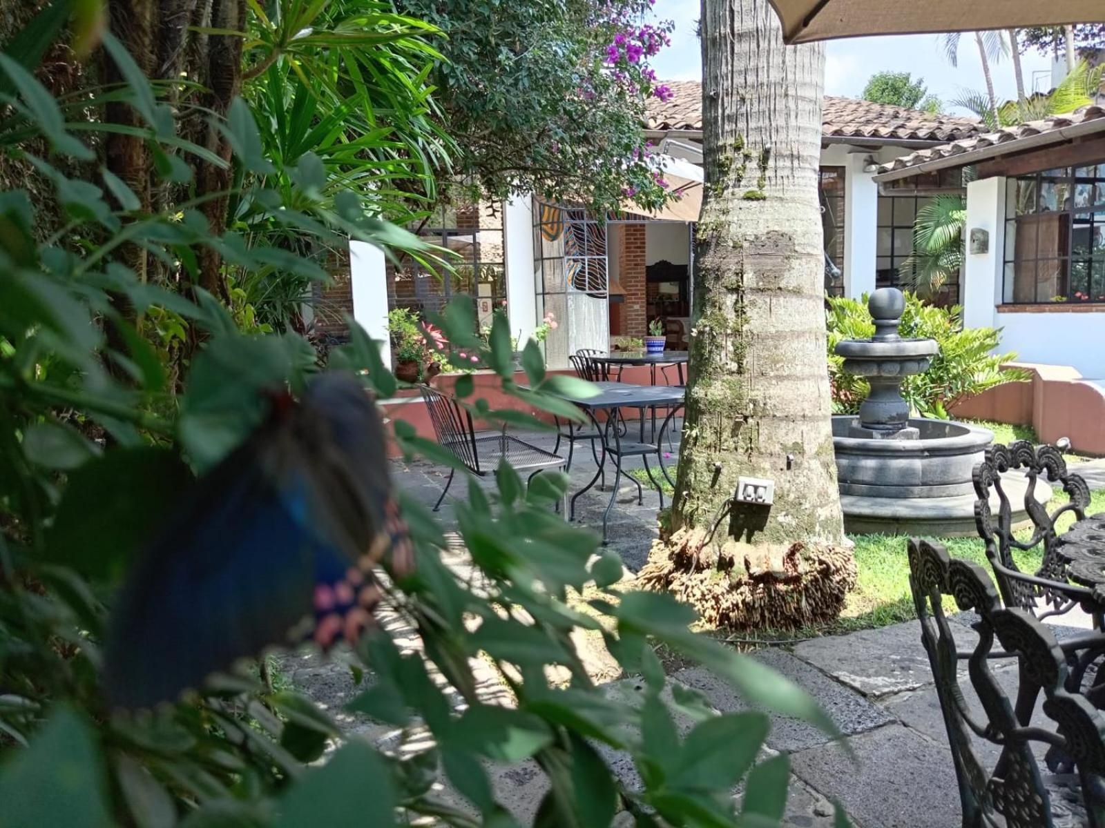Hotel Boutique Casabella Coatepec  Bagian luar foto